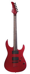 Fernandes RXX06 MTR