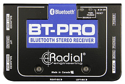 Radial BT-Pro