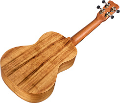 CORDOBA 28C CONCERT UKULELE HAWAIIAN KOA 