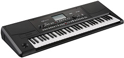 Аранжировочная станция KORG Pa300