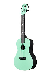 WATERMAN by KALA KA-CWB-GN Green, Matte, Concert Ukulele w/Bag