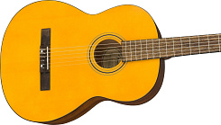 FENDER ESC-105 EDUCATIONAL SERIES 